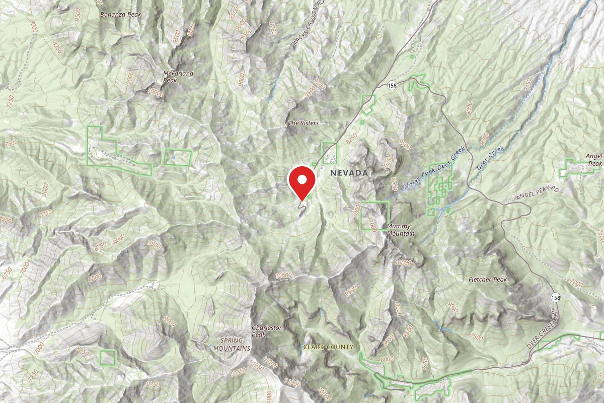 Toiyabe National Forest McWilliams Campground