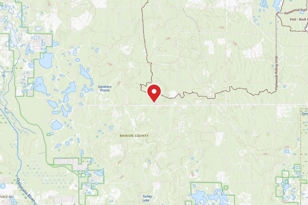 Ocala National Forest Big Scrub Campground