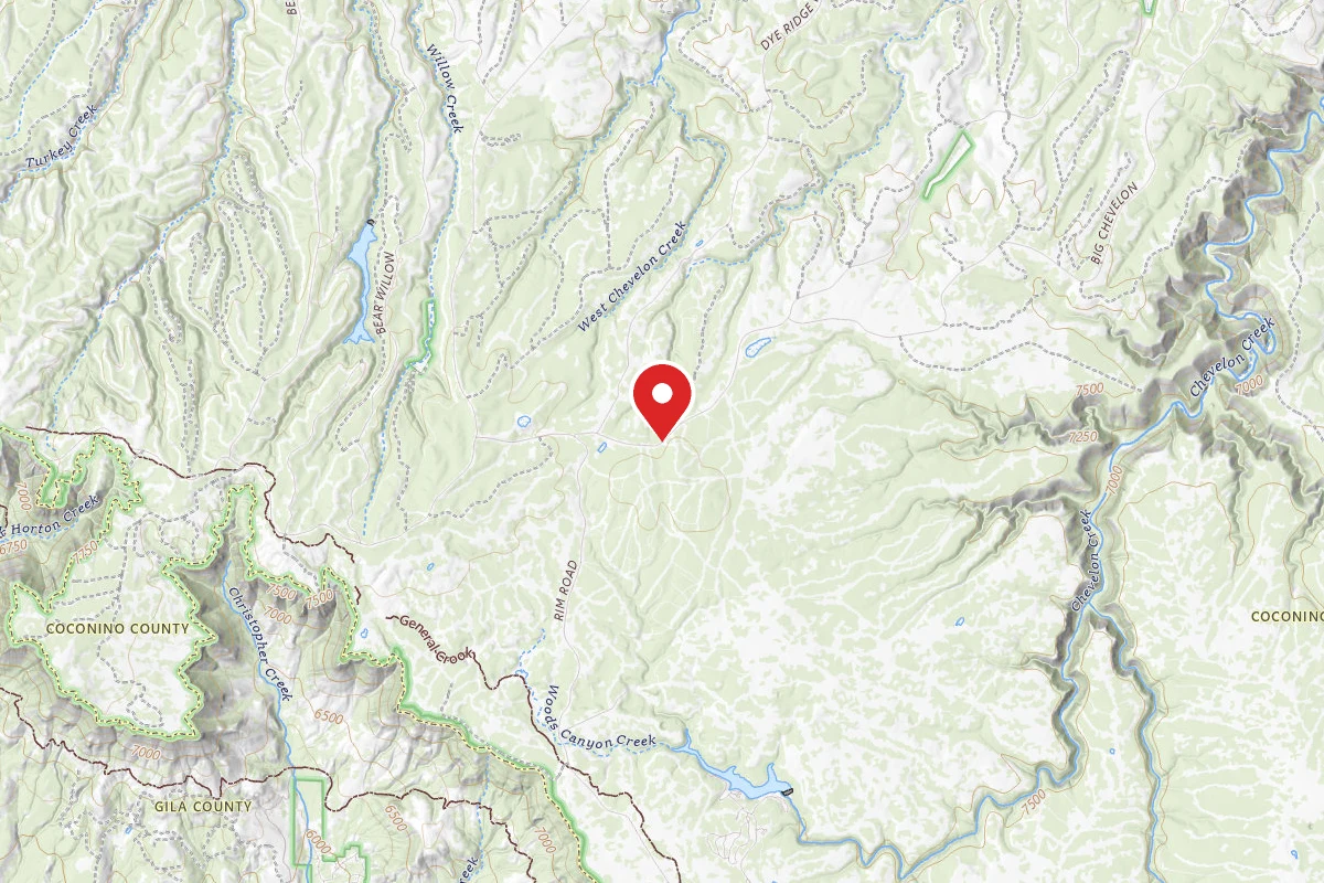 Fr 169 Campground