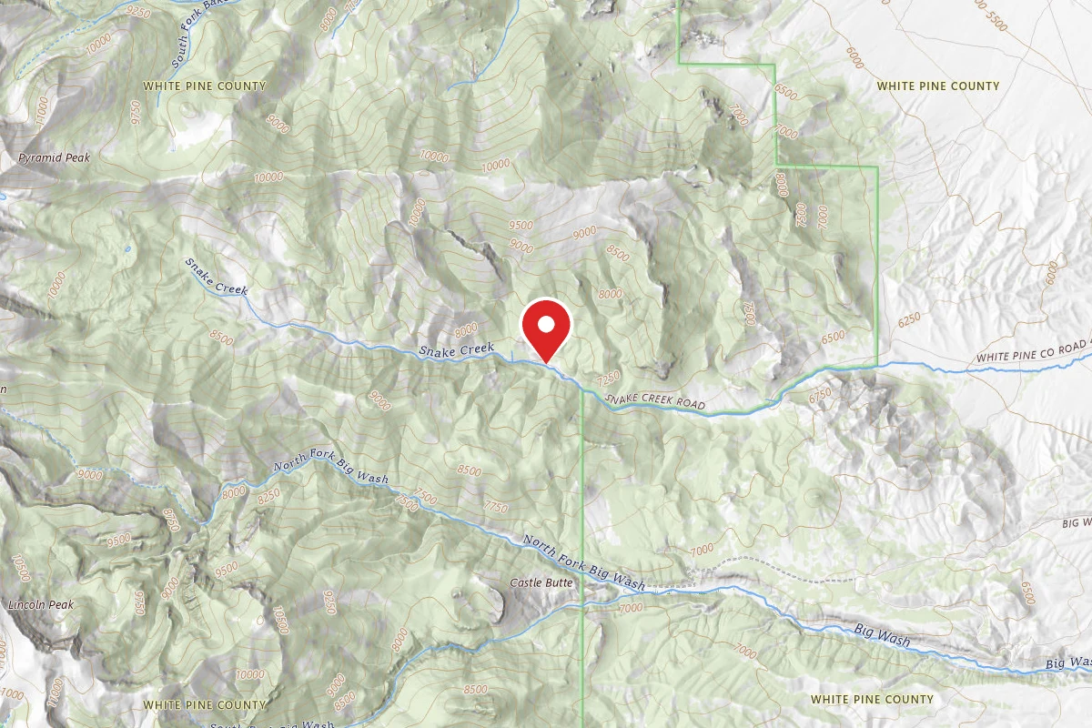 Squirrel Springs Primitive Campsites