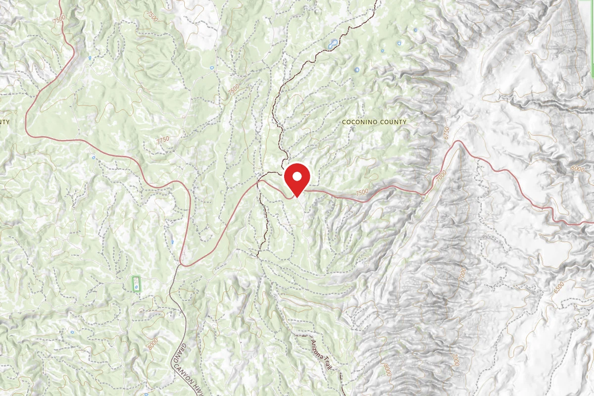 Forest Service #225 Road Dispersed Camping