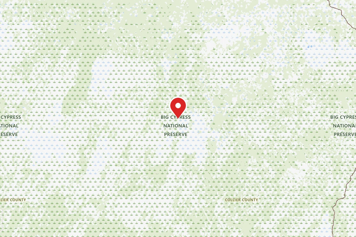 Big Cypress - Panther Camp Backcountry