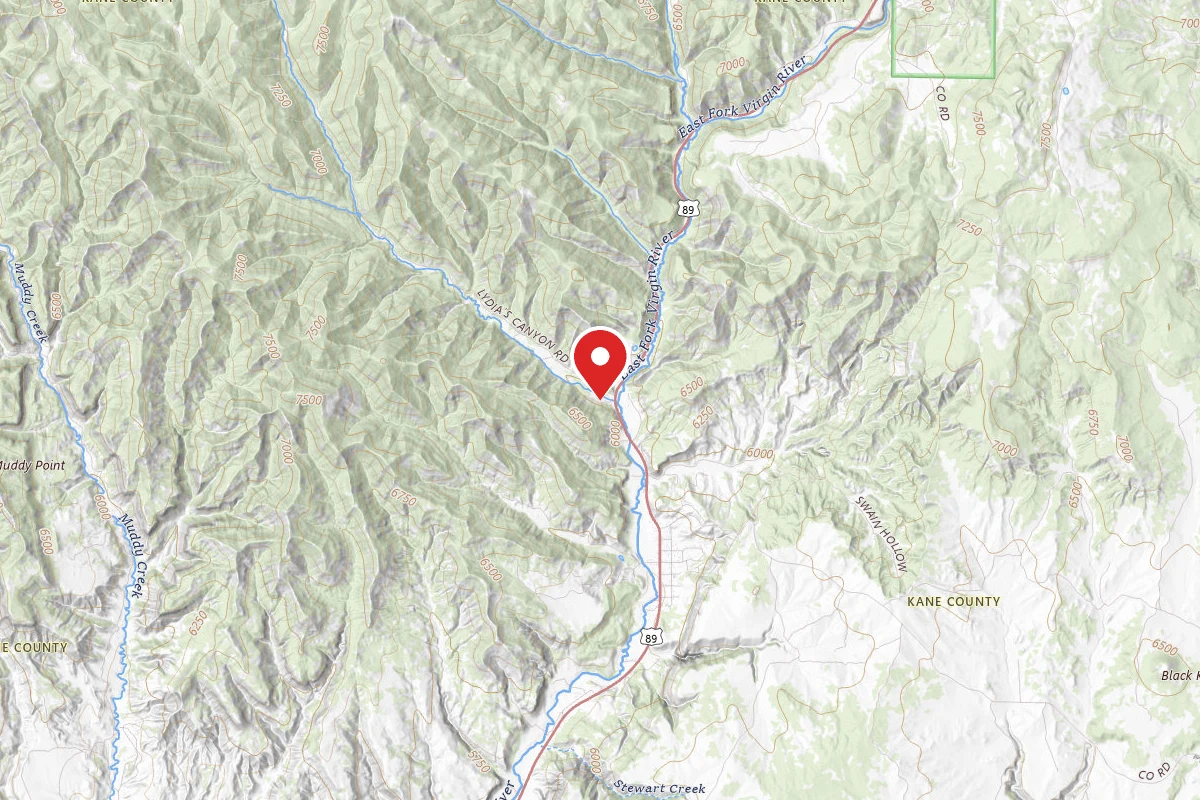Zion Family Ranch RV Campground and Fishing Experience