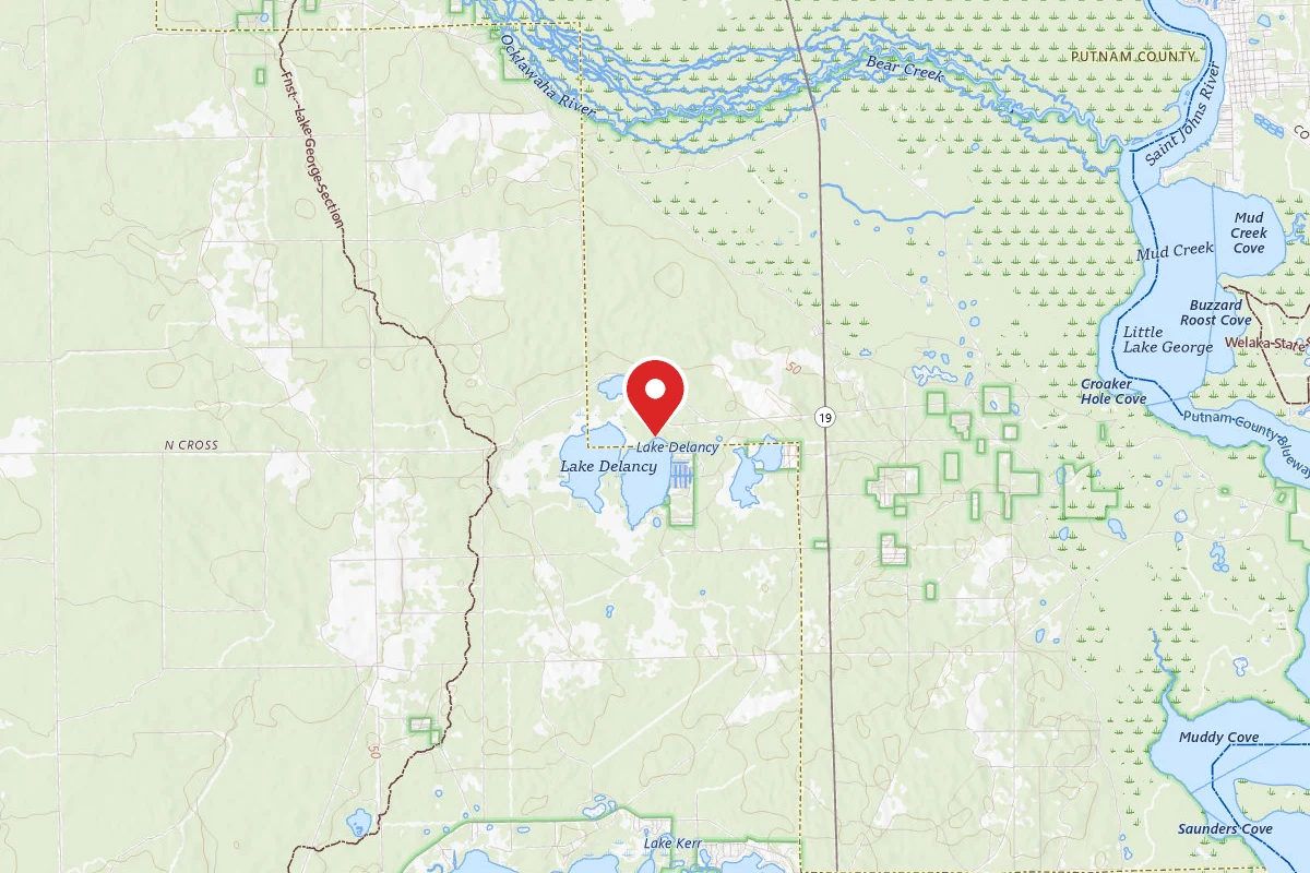 Ocala National Forest Lake Delancy East