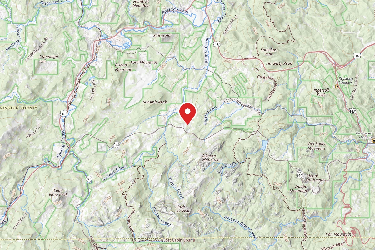 RD 356 Dispersed Site Black Hills National Forest