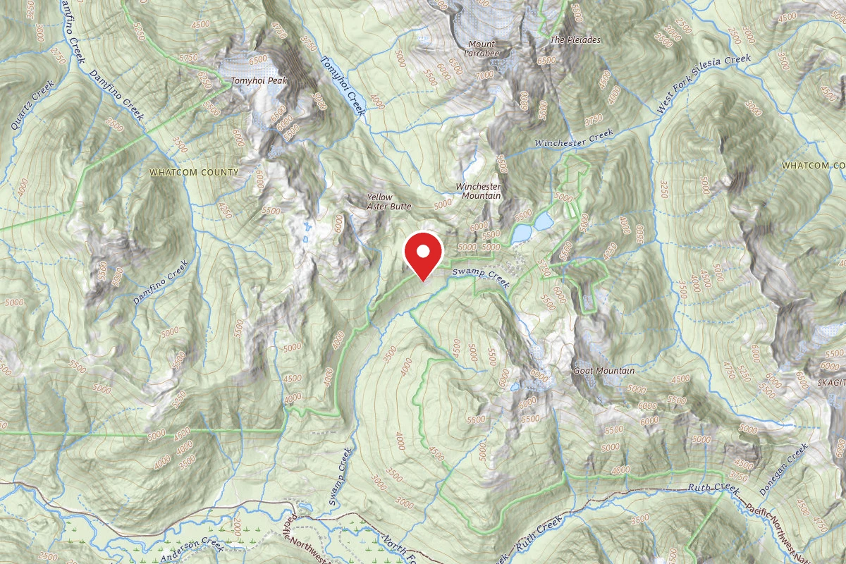 Yellow Aster Butte