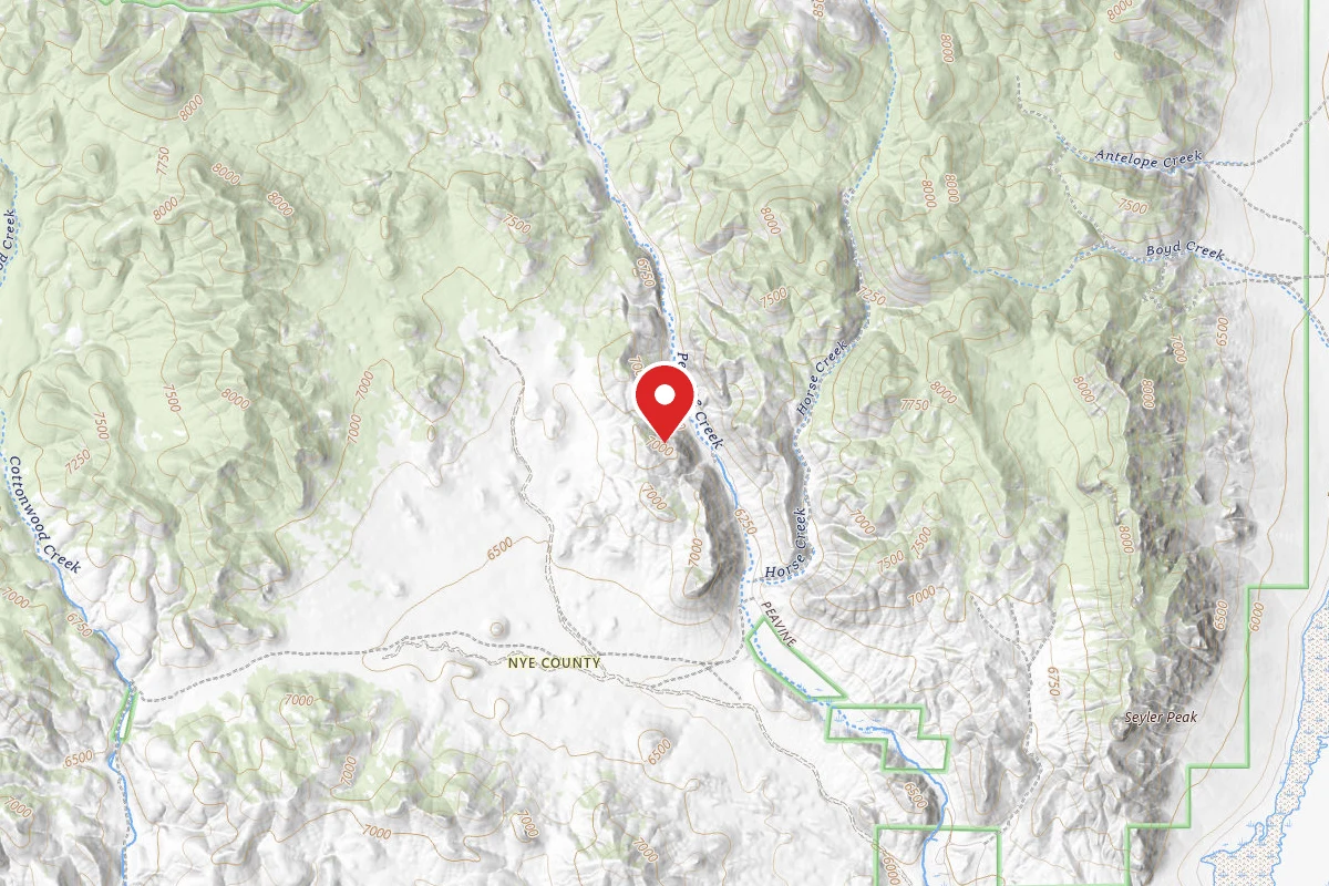Toiyabe National Forest Peavine Creek Campground