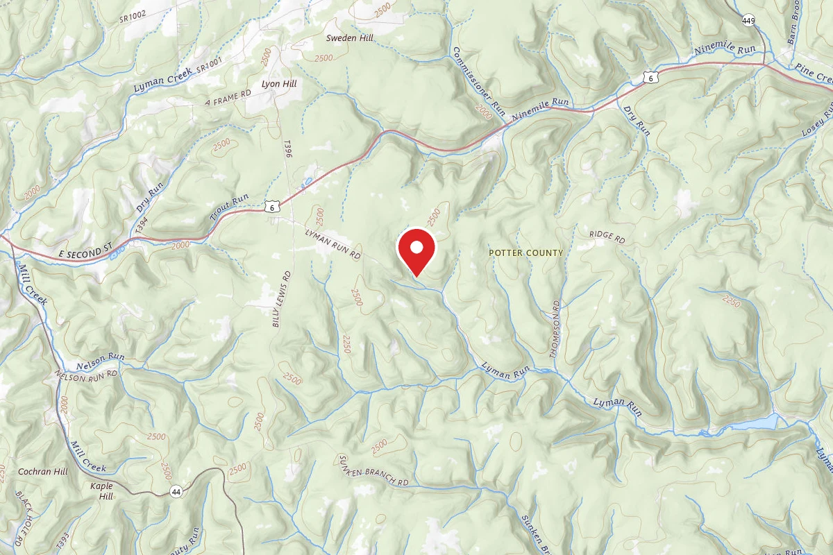 Susquehannock State Forest Dispersed