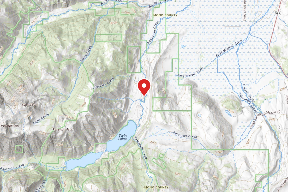 Toiyabe National Forest Paha Campground