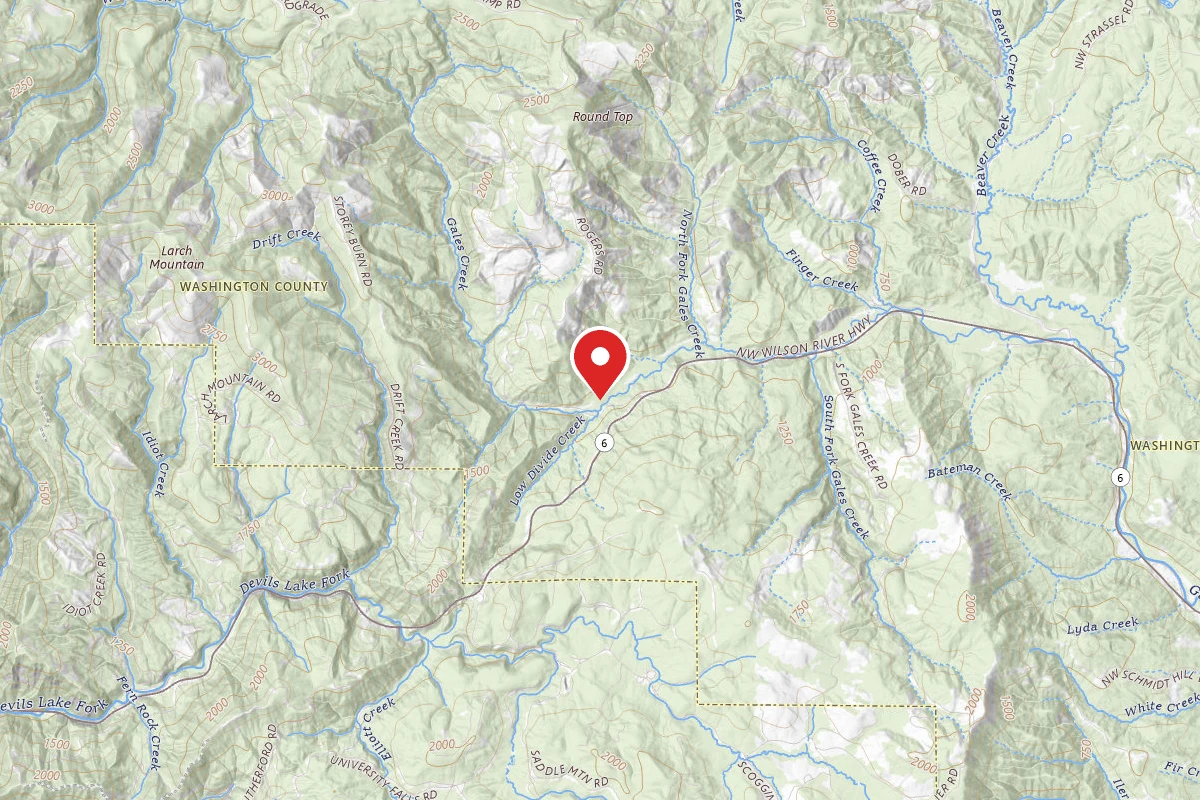 Gales Creek Campground