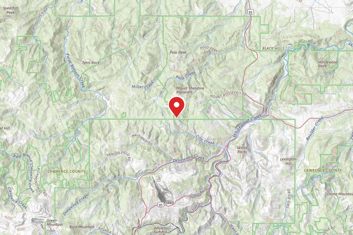 Mt. Roosevelt Dispersed Camping