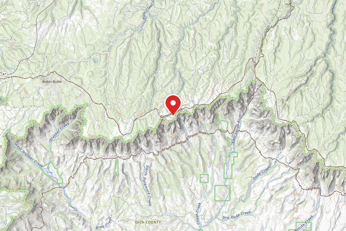 Molitor Spot Along Rim Road - Dispersed