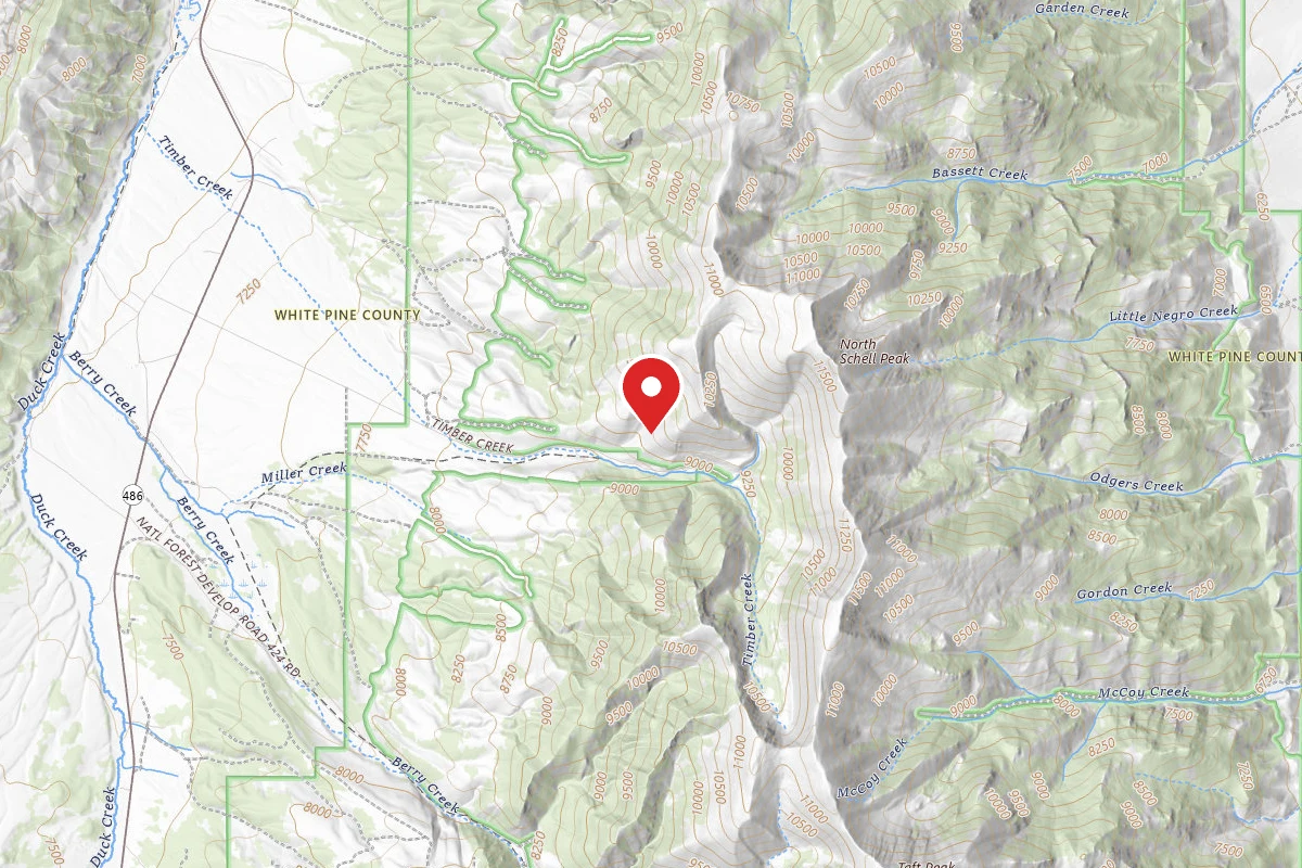 Humboldt National Forest Timber Creek Campground