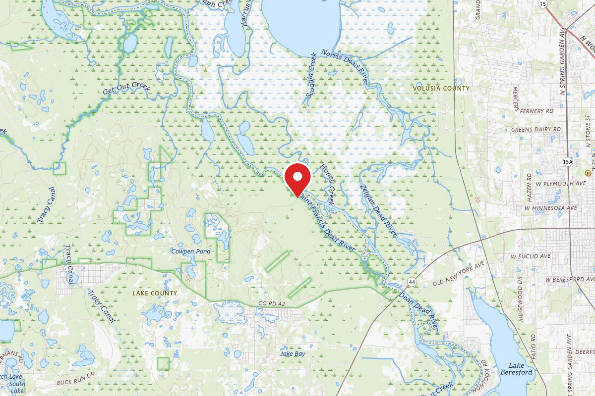 St. Johns River Dispersed Spot - Ocala NF
