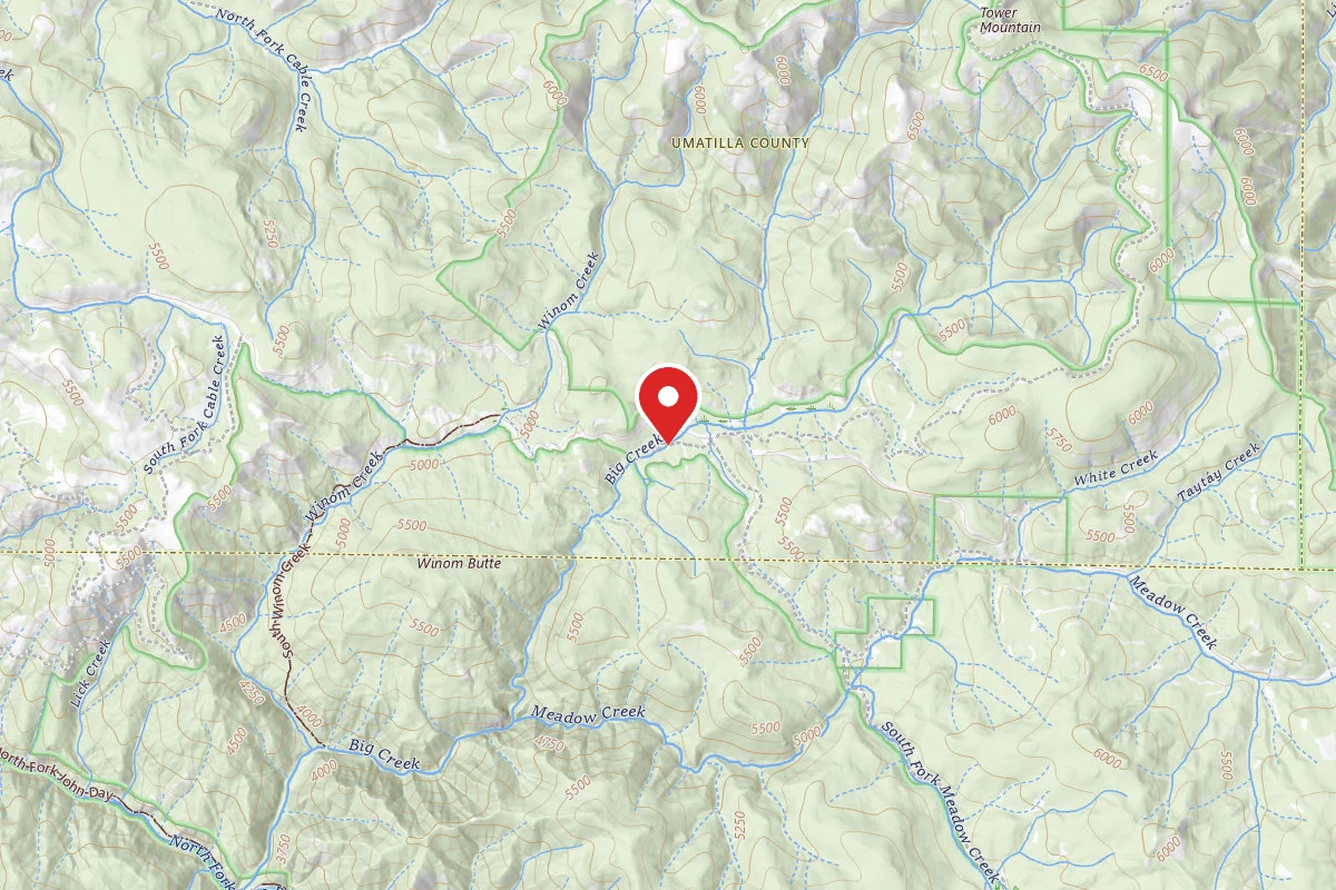 Big Creek Meadows Camp