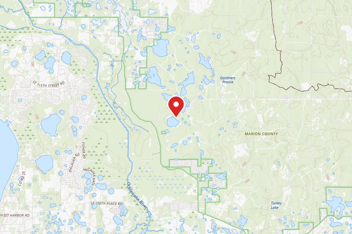 Ocala National Forest Doe Lake Recreation Area