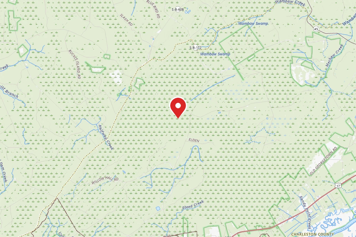 Francis Marion NF Dispersed - Wambaw Creek