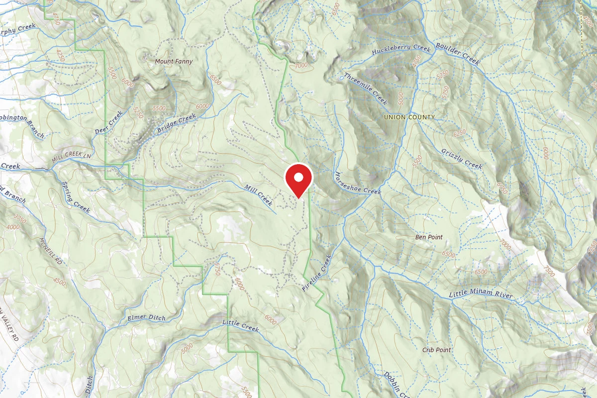 Moss Springs Campground