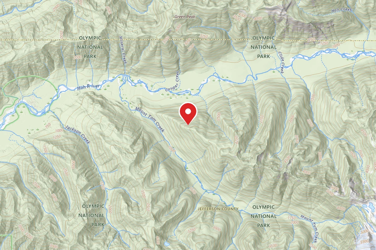 Olympic NF Dispersed - Hoh River