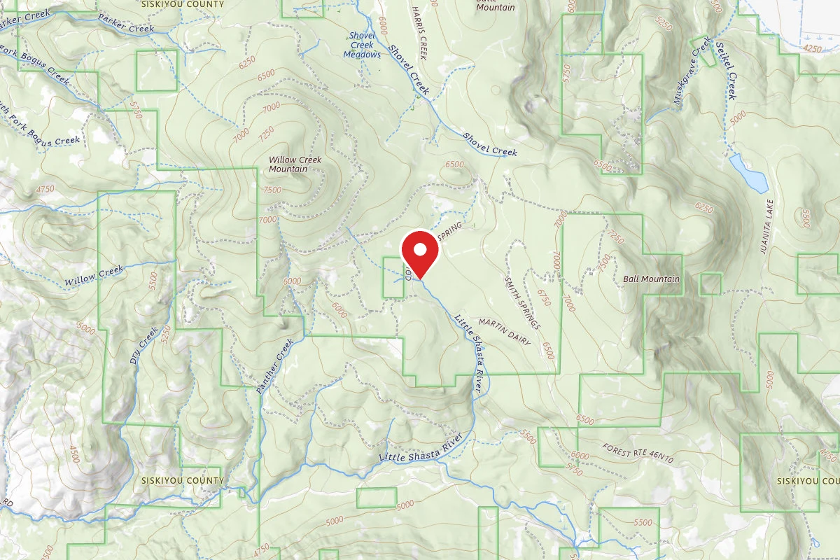 Martins Dairy Campground