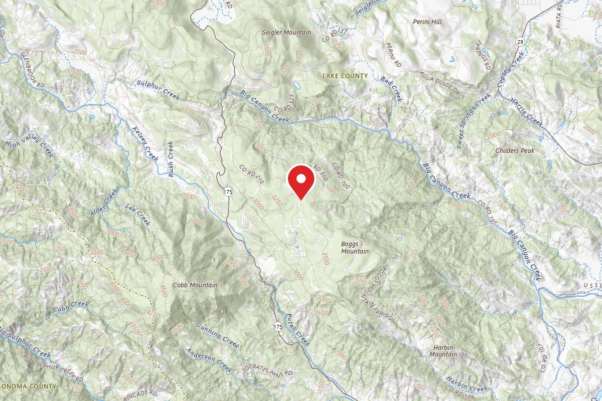 Calso - Boggs Mountain Demo Forest