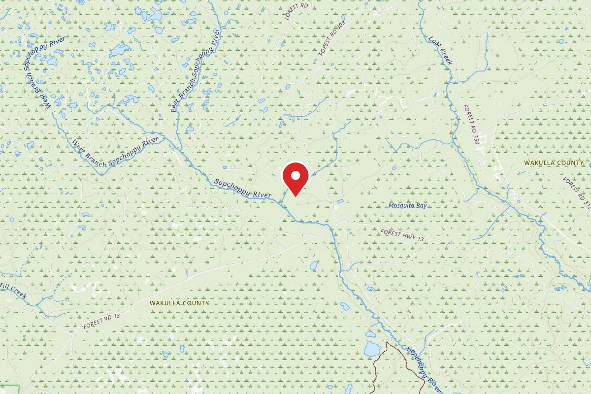 Apalachicola NF Dispersed - Mud Swamp/New River