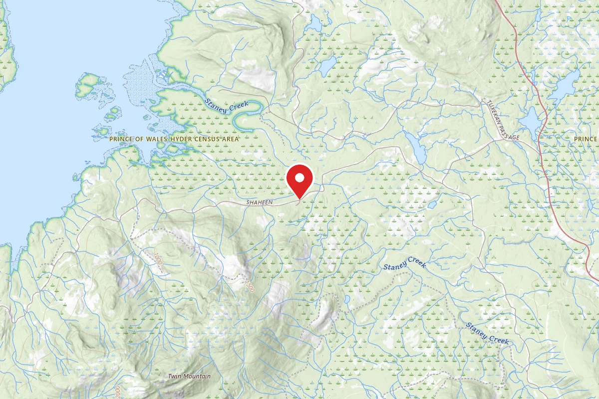 Tongass National Forest Staney Bridge Campground