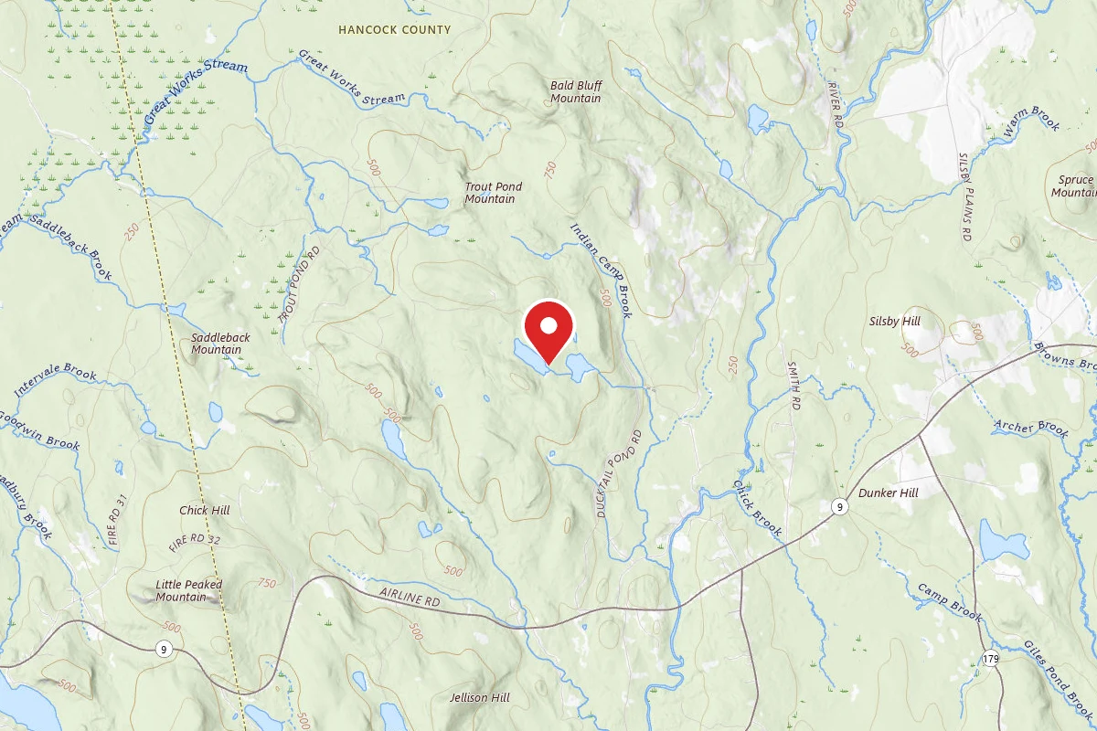 Partridge Pond Primitive Campsite