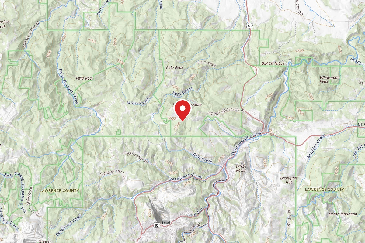 Mount Roosevelt Road Dispersed Campsite