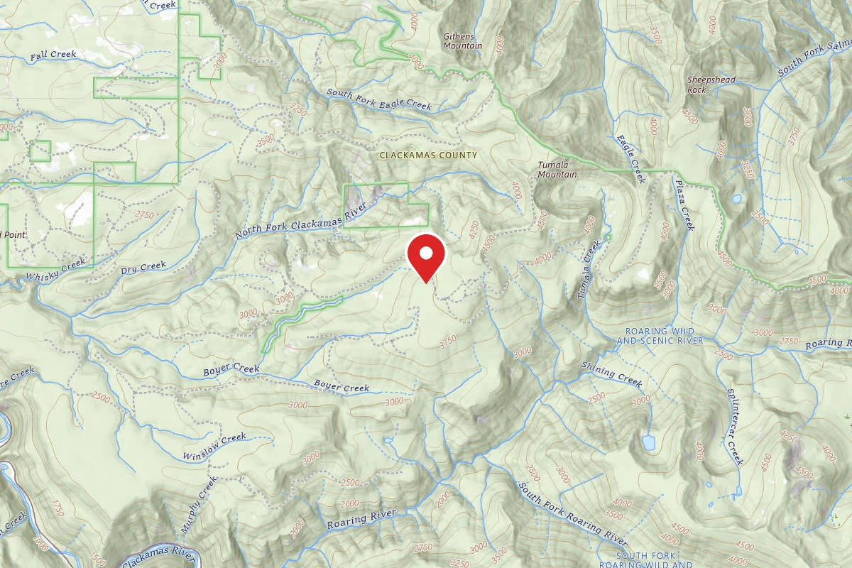 Lookout Springs Campground