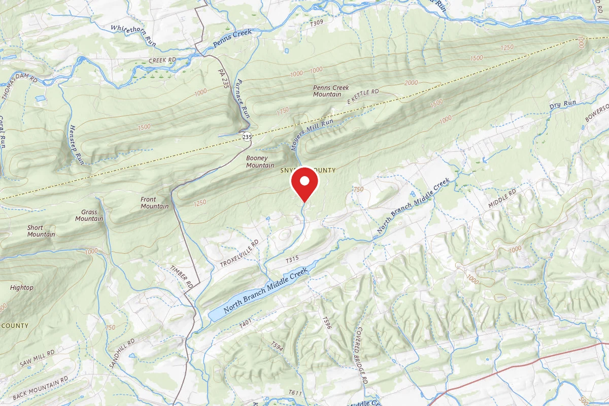 Gray Squirrel Campsites