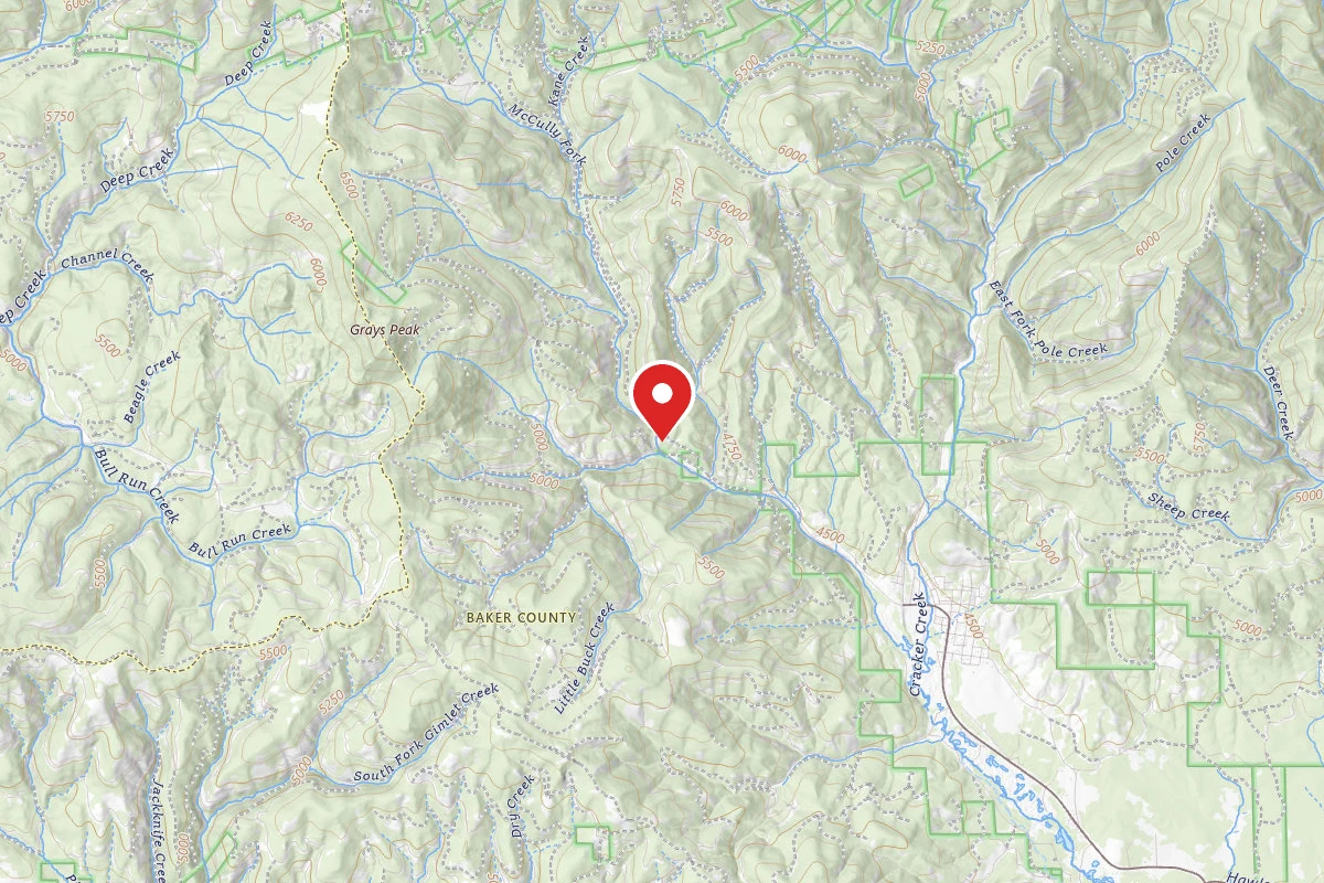 Mccully Forks