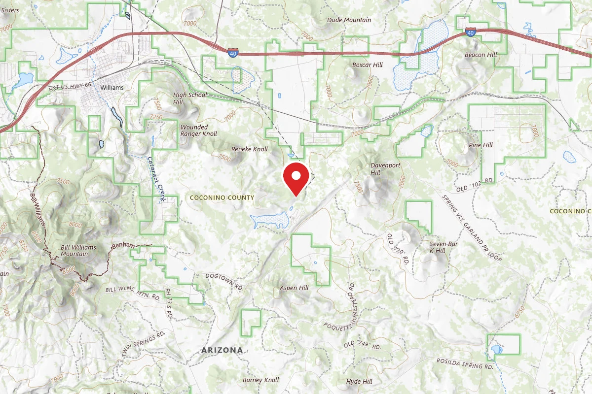 Dogtown Lake Road Dispersed Camping