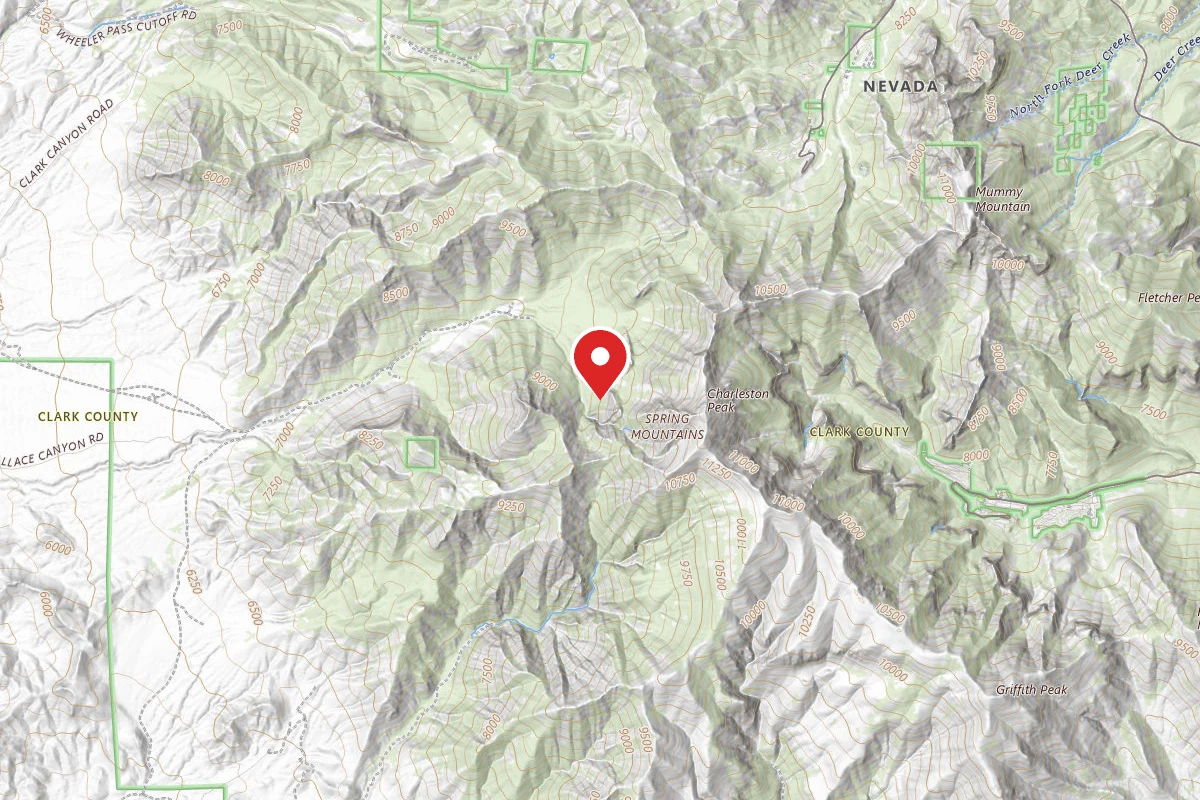 Mt. Charleston Dispersed