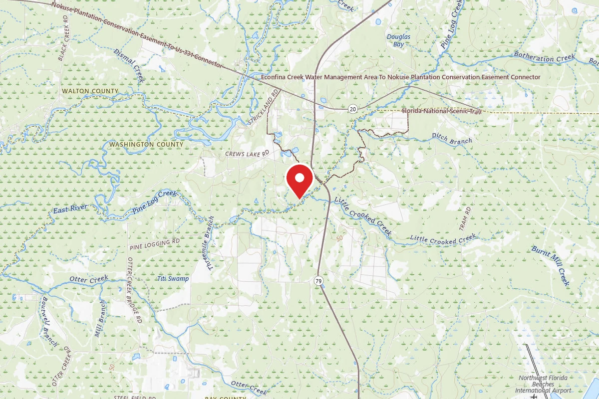 Hagar Landing Primitive Campsites