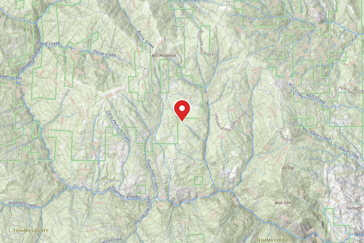 Kingsley Glade Campground