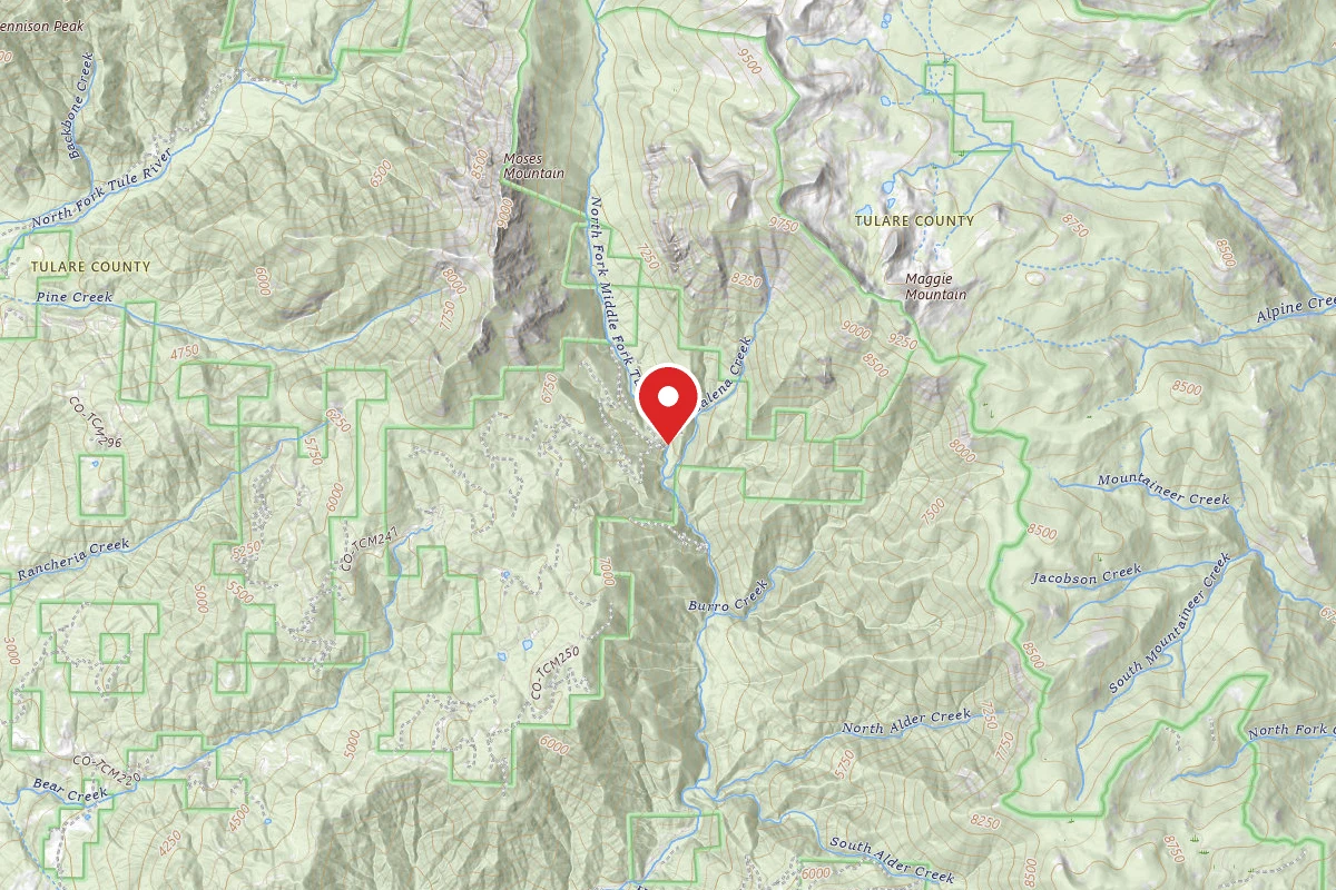 Moses Gulch - State Forest