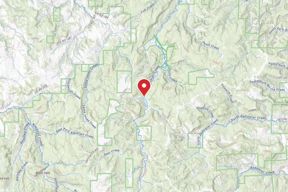 Black Hills National Forest Cook Lake Campground