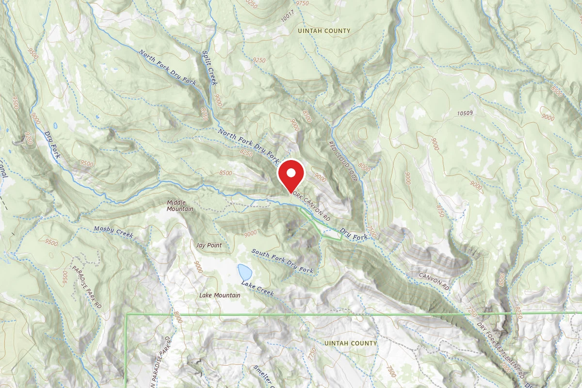 Massey Meadow Camping Area