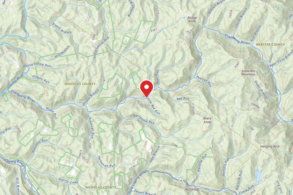 Cranberry River Sites NF Campground