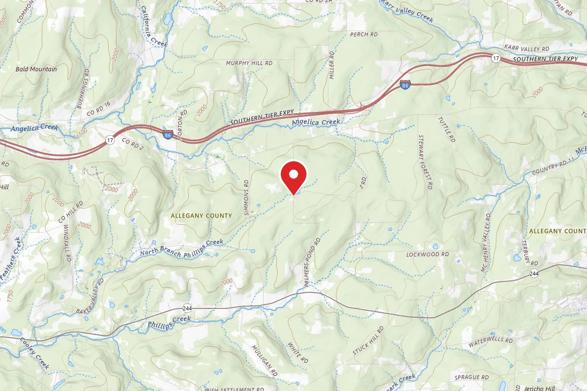 Palmers Pond State Forest