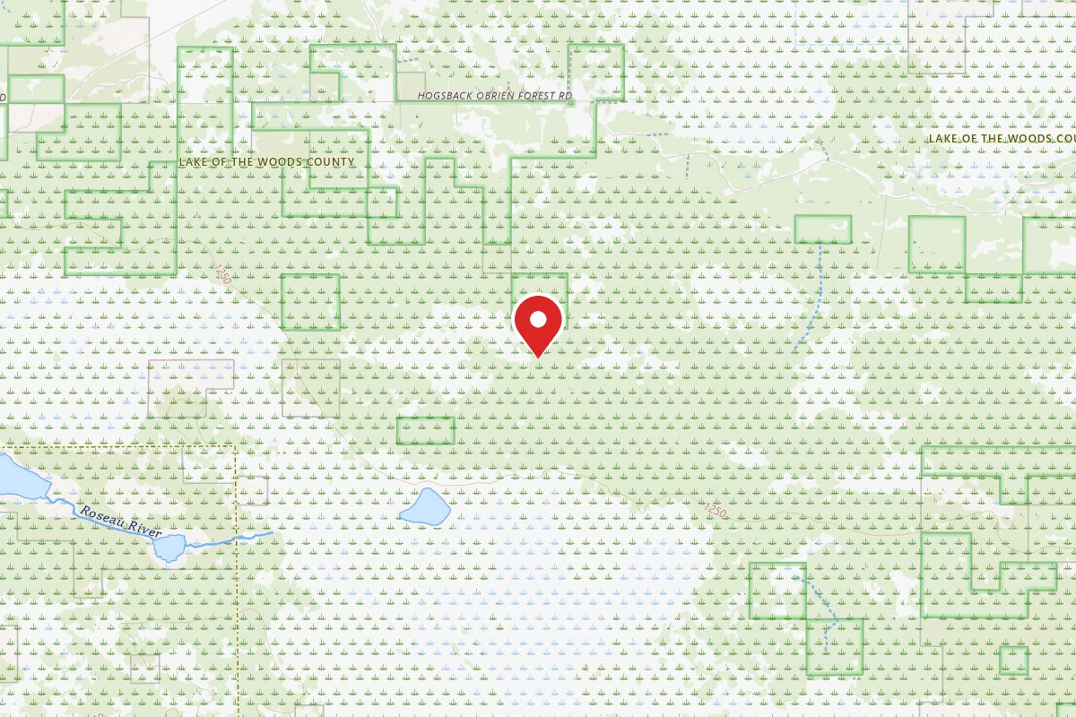 Faunce - Beltrami Island SF