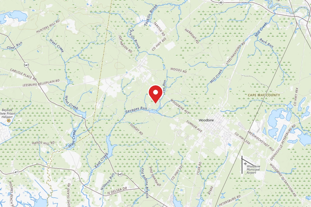Belleplain State Forest