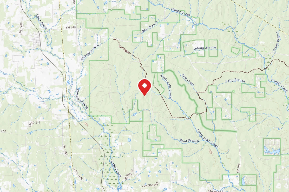 Lone Star Hiking Trail Dispersed