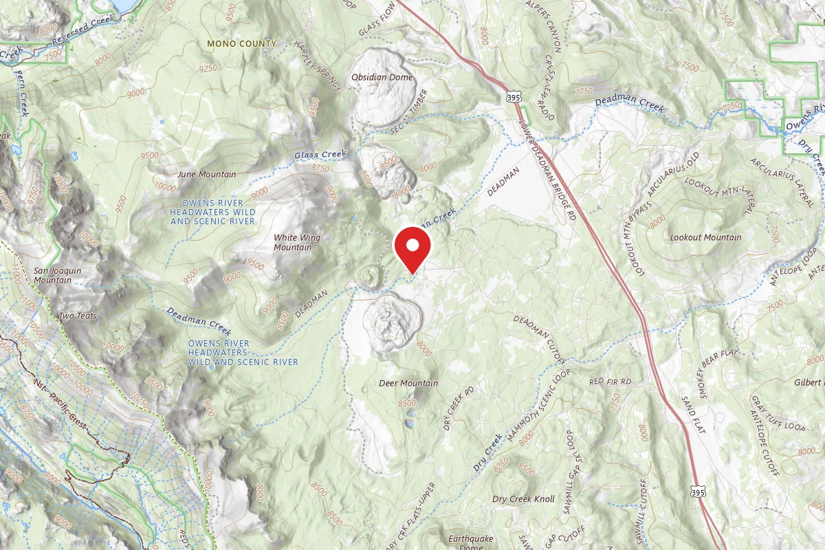 Upper Deadman Creek