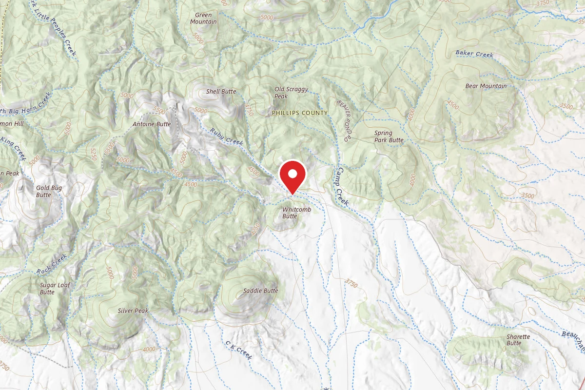 Buckhorn Store, Cabins & Rv Park