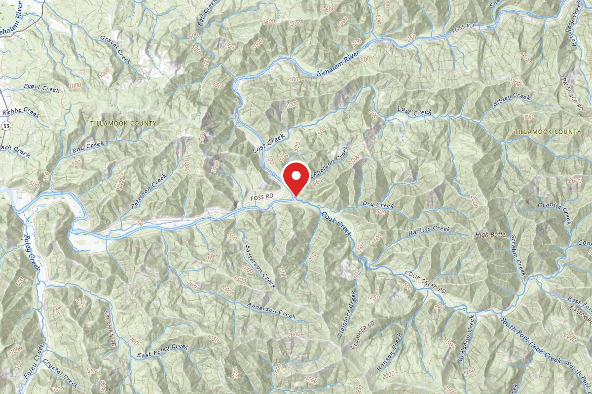 Tillamook State Forest Cook Creek Campground