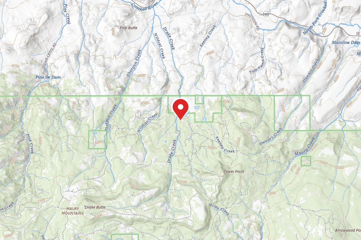Elkhorn