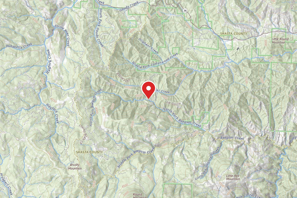 North Fork Beegum Creek F