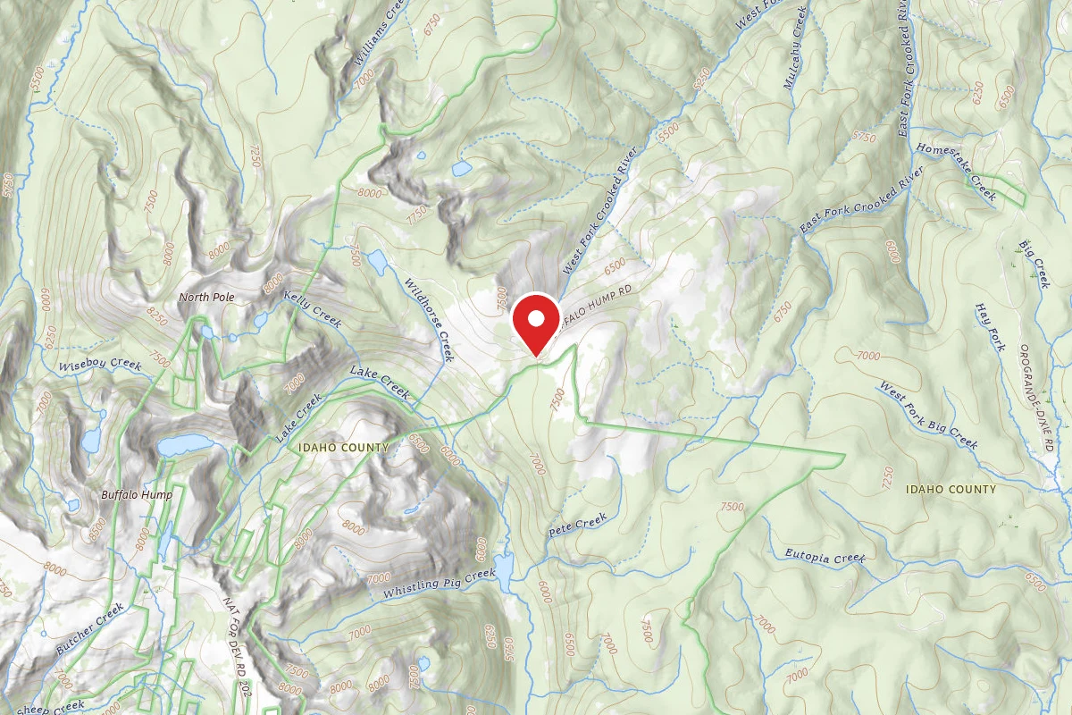 Nez Perce National Forest Orogrande Summit Campground